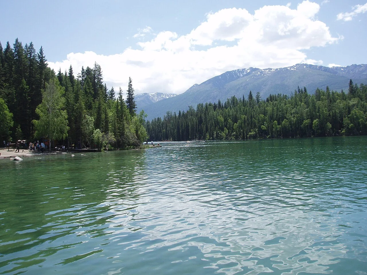 喀纳斯湖岸与森林,夏季实景